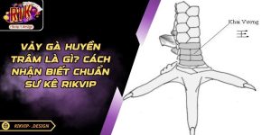 Vảy Gà Tứ Hoành Khai - Sức Mạnh Chiến Kê Trong Đá Gà RIKVIP