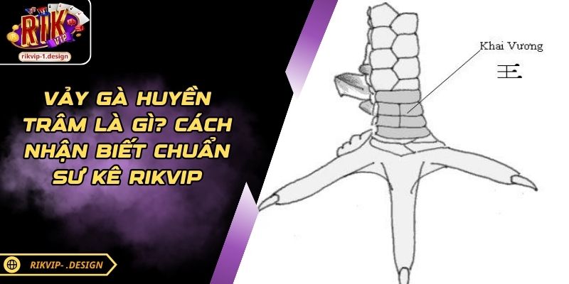 Vảy Gà Tứ Hoành Khai - Sức Mạnh Chiến Kê Trong Đá Gà RIKVIP